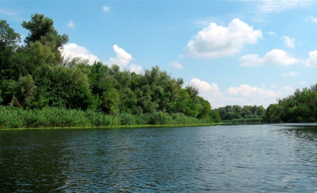 Воду з Унави дослідили в лабораторії: купатися у річці не можна