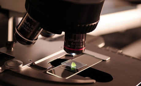 Чекали другої хвилі коронавірусу восени? Але вже зараз в Україні фіксують зростання захворюваності