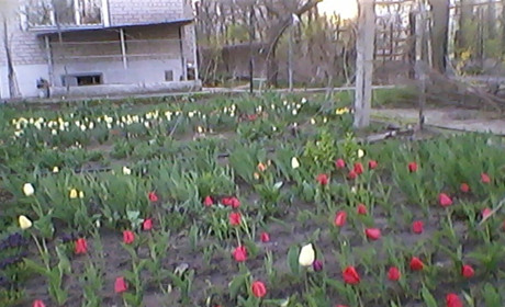 «На Пасху тепла не ждіть»