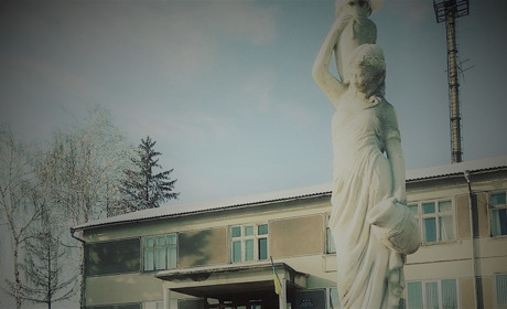 Кого з кандидатів на посаду голови Брусницької ОТГ ви підтримуєте? Опитування