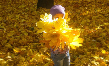 Как провести выходные в Мелитополе 10-11 ноября