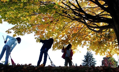 На Запоріжжі більшає кількість хворих на ковід