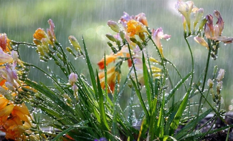 Погода в Україні на тиждень: що обіцяють синоптики?