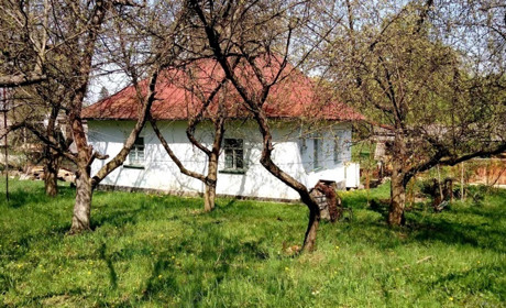 Де знайти будинок: підбірка оголошень про продаж житла в Барі та громаді