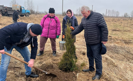 Де у Шосткинській громаді висадили сто саджанців і започаткували парк Перемоги