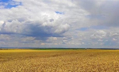 З 2025 року всі невитребувані паї будуть визнані безгоспними. Чи продовжать строк до кінця війни?