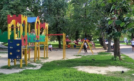Агресивні собаки нападають на мешканців Краснограда. Історії людей, які зіткнулись з безхатьками