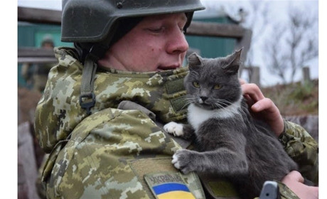 2 квітня: вся Київська область звільнена від окупантів!