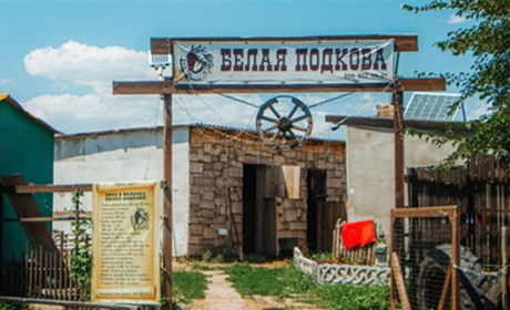 Були прильоти туди, де коні зазвичай паслися, - власниця ранчо "Біла підкова" про евакуацію тварин