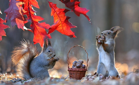Понеділок буде дуже теплим, а з середини тижня в Україні почнеться похолодання: прогноз погоди