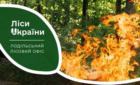 На Шепетівщині заборонено відвідування лісів через надзвичайну пожежну небезпеку