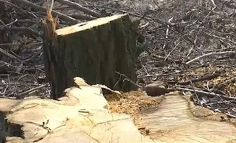 Мер сказав: проблем не буде