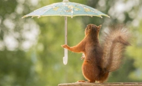 День у майці, день у фуфайці: українські синоптики прогнозують мінливу погоду влітку 2020 року