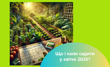 Місячний посівний календар на квітень 2025 року: що і коли садити?