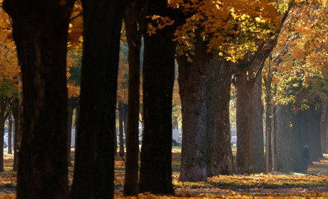 Вихідні будуть туманними та без опадів. На початку наступного тижня очікуємо дощів