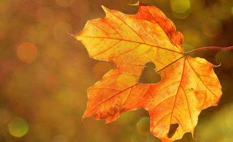 Якою буде погода у Сватовому і районі у перші дні жовтня: прогноз з 30 вересня по 6 жовтня