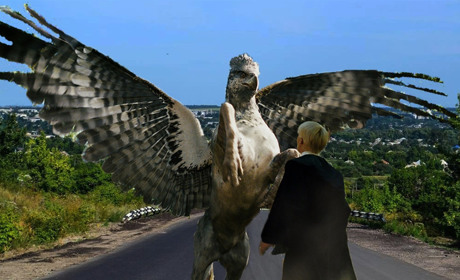 «Гаррі Поттер. Сватівська історія»: якби цей відомий фільм знімали у Сватовому