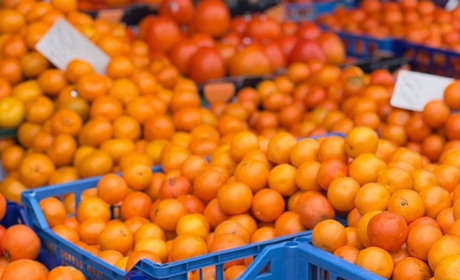 Від 67 гривень за кіло: де і за скільки купити мандарини в Сарнах