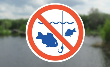 На Сумщині з 1 листопада заборонено вилов водних біоресурсів на зимувальних ямах