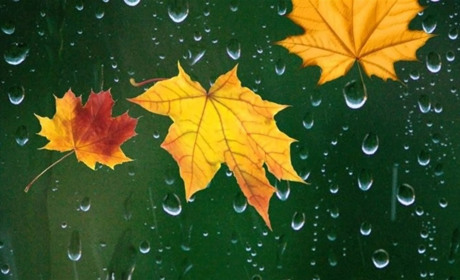 Синоптики прогнозують дощі: погода на найближчі дні на Сумщині та в Україні