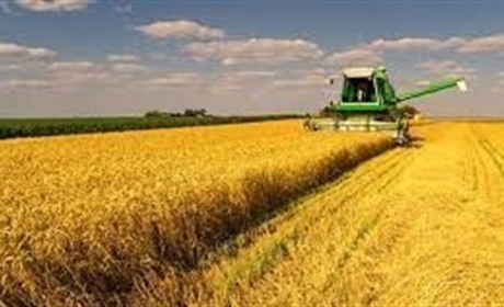 Чи вдасться державі перезапустити агрострахування?