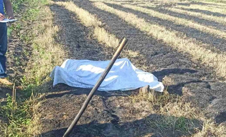 На присадибній ділянці виявили обгоріле тіло жінки 1943 року народження
