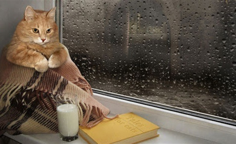 Лікарі первинки радять: як уникнути осінньої депресії?