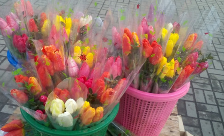 Весняні пазли: на вас чекають нові завдання