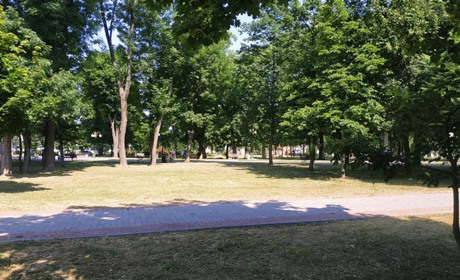 Прогноз погоди на тиждень: на Гадяччину поступово повертається тепло