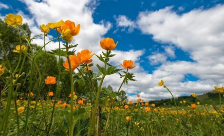 Короткочасні дощі, грози та до плюс 31 градуса вдень: що прогнозують синоптики Сумщини та України