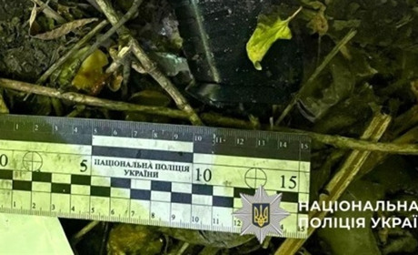 Поцілив в око знайомій дівчині з пневматики. У Первомайську на пляжі затримали юнака