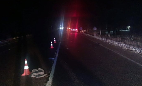 На Сарненщині під колесами авто загинула пішохідка