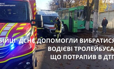 У Житомирі рятувальники деблокували з кабіни тролейбуса водія, що зіткнувся з деревом