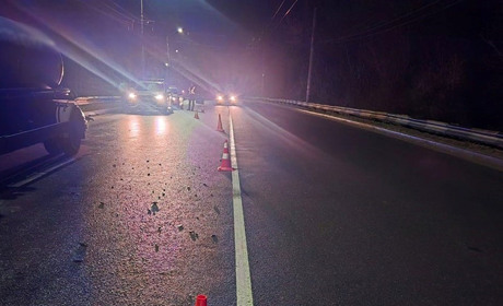 У Житомирі під колесами автівки загинув житель Звягельщини