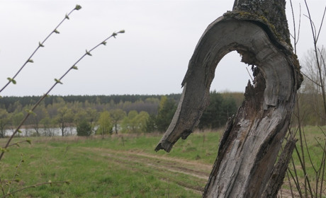 Неподалік Глухова дослідники встановили місце поховання засновника Харківського університету