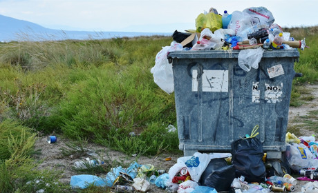 Коли у Сватовому у серпні 2020 вивозитимуть сміття від приватного сектора: графік