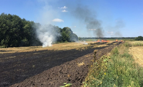 У Голендрах та Герасимівці горіла стерня на полі