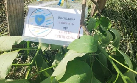 У Шостці понівечили дерево пам'яті про загиблого воїна