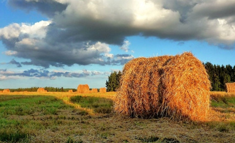 28 серпня Україна буде однією з найспекотніших європейських країн: прогноз погоди