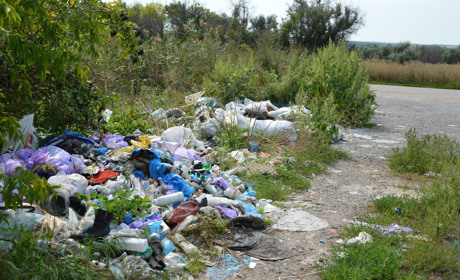 Лісосмуги навколо Сватового потопають у смітті. Як з цим боротися: думки сватівчан (+відео)