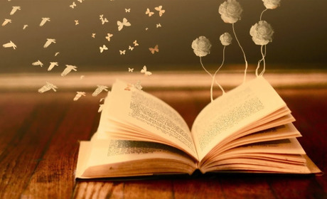Як правильно вибрати книгу?