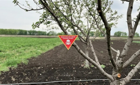 На Херсонщині чоловік підірвався на вибухівці, коли пас худобу