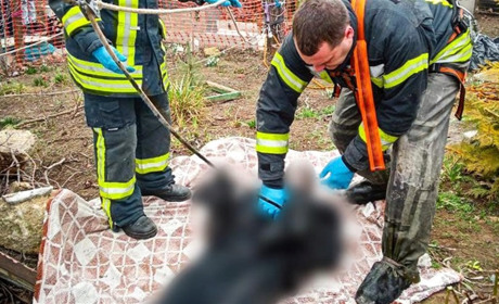 В селі Нерубайської громади знайшли тіло чоловіка у колодязі власного будинку