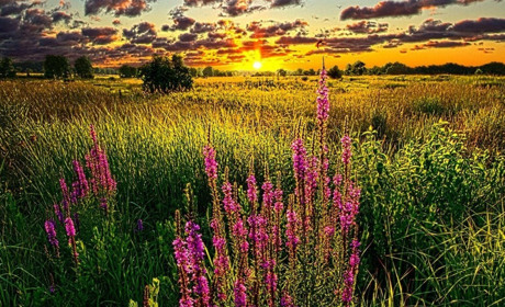 Якою буде погода на вихідних та протягом серпня: прогноз Сумського та Українського гідрометцентрів