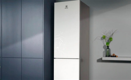 Холодильник Electrolux RRC 5ME38W2: детальний опис моделі