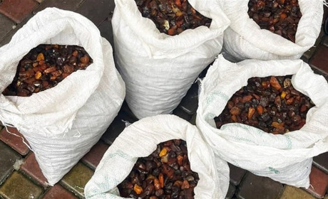 Сарненська прокуратура передала державі понад 100 кілограмів бурштину