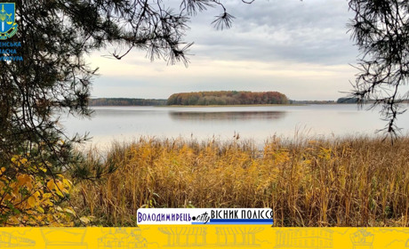 В Зарічненської громади Нацпарк відсудив 40 гектарів землі