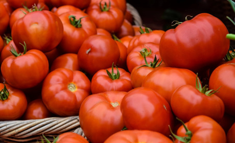 Как вырастить вкусные томаты из семян