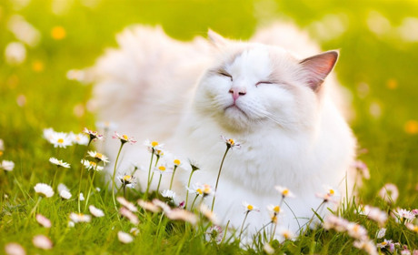 Прогноз погоди на 13-17 липня по Чернігівській області