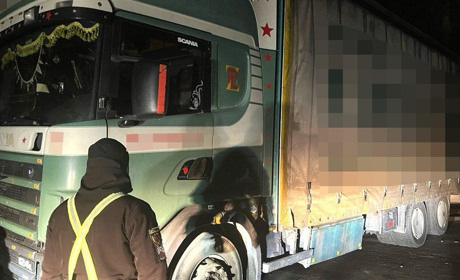 У Сарненському районі на блокпосту зупинили перевізника незаконної деревини